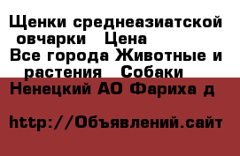 Щенки среднеазиатской овчарки › Цена ­ 20 000 - Все города Животные и растения » Собаки   . Ненецкий АО,Фариха д.